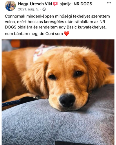 nrdogs.hu 