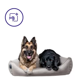 Easy To Clean Dog Beds