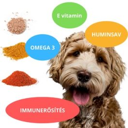 Immunerősítők, vitaminok kutyáknak