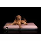 Premium dog bed Soft Magic Pink XL (120x80cm)