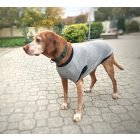 NRDOGS Kutyaruha Light Grey XL (45-55 cm háthossz)