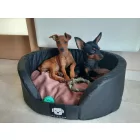 NRDOGS Peremes Kutyafekhely Soft Magic Pink L 80x63 cm