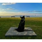 GOMEZ Vízhatlan Kutyafekhely Grey XL (120x80cm)