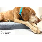 GOMEZ Vízhatlan Kutyafekhely Grey XL (120x80cm)