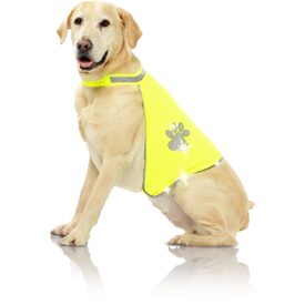 Visibility vest for dogs