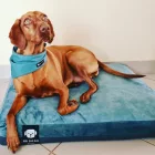 Premium dog bed Soft Magic Ocean L (100x70cm)