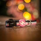 Dashi Stripes Pink&Black Collar