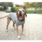 NRDOGS Kutyaruha Light Grey L (37-45 cm háthossz)