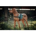 NRDOGS Kutyahám Fun Jungle XL (90-119cm)