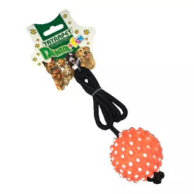 Rope game with ball - dog game