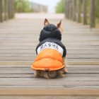 Dashi Stripes Orange&Black Dog Coat 3XL (52 cm back length)