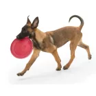 West Paws ZISC Apport toy L 22 cm