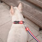 Dashi Stripes Red & Blue Collar