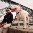 Dashi Stripes Red & Blue Collar