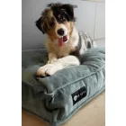 NRDOGS Comfort Dog Bed Soft Magic Ocean