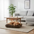 NRDOGS Comfort Dog Bed Soft Magic Beige
