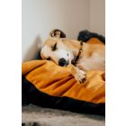 NRDOGS Basic Kutyafekhely Soft Magic Okker XL 107x68 cm