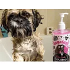 Bugalugs Baby Fresh Dog Shampoo