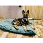 COVERS For Soft Magic Ocean Basic Dog Bed