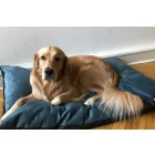 COVERS For Soft Magic Ocean Basic Dog Bed