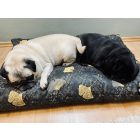 HUZAT Basic Kutyafekhelyre Fun Mush