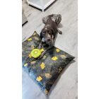 HUZAT Basic Kutyafekhelyre Fun Mush