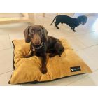 NRDOGS Basic Kutyafekhely Soft Magic Okker