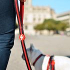 Dashi Stripes Red&Black póráz