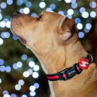 Dashi Stripes Red&Black Collar S (28-42cm)