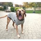 NRDOGS Kutyaruha Light Grey S (30-35 cm háthossz)