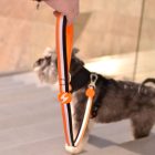 Dashi Stripes Orange&Black póráz