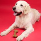 Dashi Fruit And Bone Toy - Strawberry