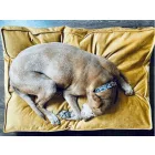 NRDOGS Comfort Dog Bed Soft Magic Okker
