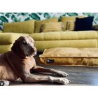 HUZAT Comfort kutyafekhelyre Soft Magic Okker