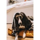 HUZAT Comfort kutyafekhelyre Soft Magic Okker