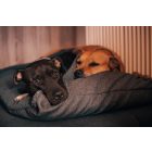 HUZAT Bebújós Kutyafekhelyre Zuma Beige L (90x56cm)