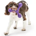 West Paw Skamp Apport Toy
