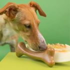 Dashi Fruit And Bone Toy - Melon