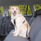 Trixie Auto Sicherheitsgeschirr für Hunde + Leine L 70-90cm