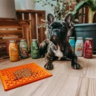SmoothieDog - Bárányhús smoothie menü kutyáknak 250ml