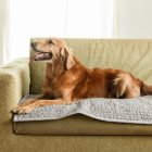 Vízálló Kanapévédő/Szőnyeg Halványszürke (63x120cm)