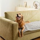 Vízálló Kanapévédő/Szőnyeg Halványszürke (63x120cm)