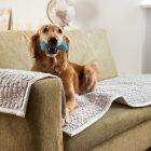 Vízálló Kanapévédő/Szőnyeg Halványszürke (63x120cm)