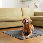 Vízálló Ágytakaró/ Szőnyeg Sötétszürke (95x95cm)