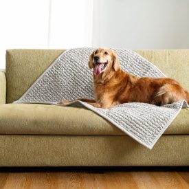 Vízálló Fotelvédő/Szőnyeg Halványszürke (63x50cm)