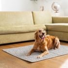 Vízálló Fotelvédő/Szőnyeg Halványszürke (63x50cm)