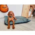 NRDOGS Basic Kutyafekhely Art Pava L 90x56 cm