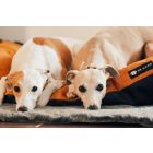 NRDOGS Basic Kutyafekhely Soft Magic Okker L 90x56 cm