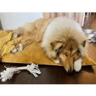 NRDOGS Basic Kutyafekhely Soft Magic Okker L 90x56 cm