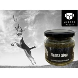 NRDOGS Barna Alga Kutyáknak 100 G